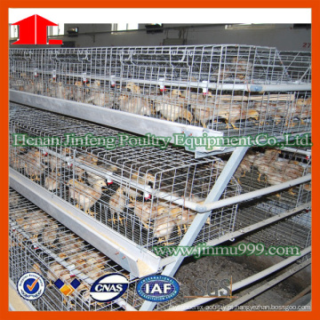 Poultry Equipment Chicken Cage From China